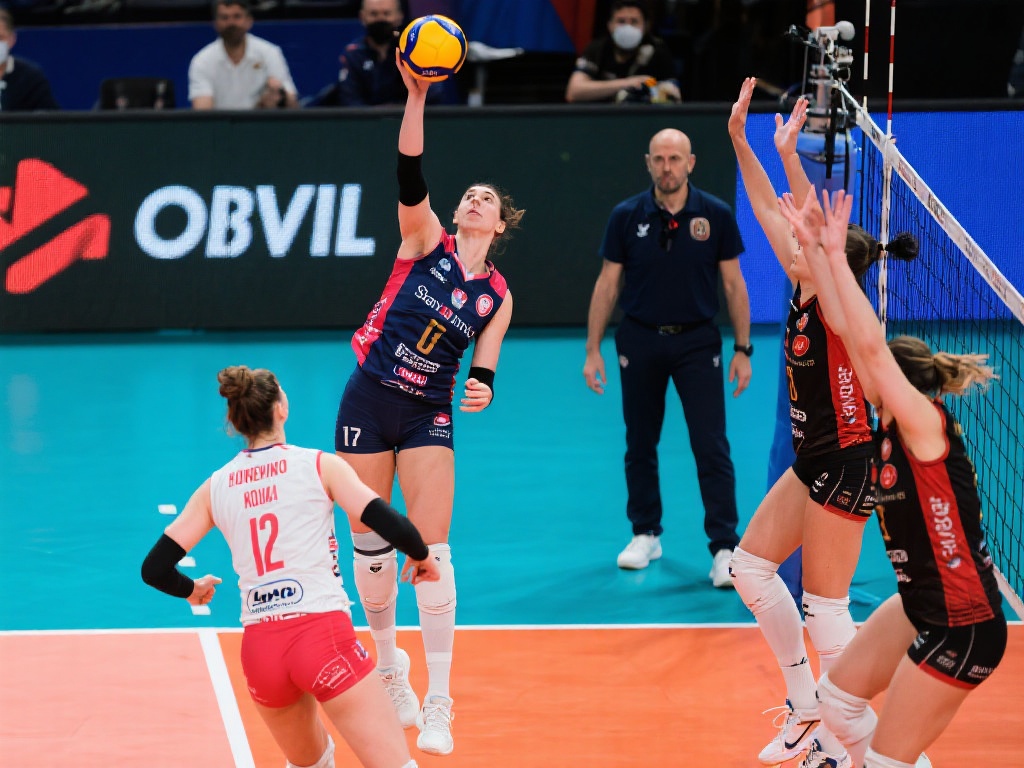 也为球迷提 也为球迷提